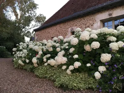 Jardin de l'établissement Gîte du Manoir