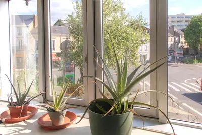 Plan de l'établissement Appartement en résidence Le Mans