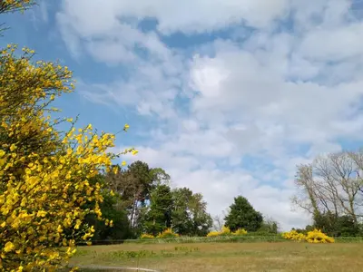 Paysage naturel près de le séjour chez l'habitant