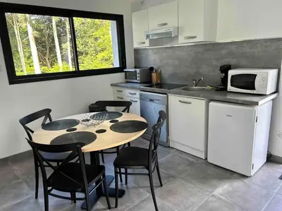 Cuisine ou kitchenette dans l'établissement Appartement Le Mans proche du circuit des 24h