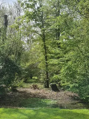 Paysage naturel près de le B&B/chambre d'hôtes
