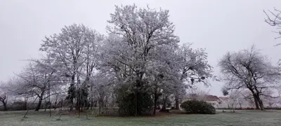 Plan de l'établissement Gîte Galadriel - Charme et Nature