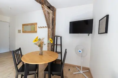 Télévision ou salle de divertissement dans l'établissement La Suite Littéraire, 5mn du ZooParc de Beauval