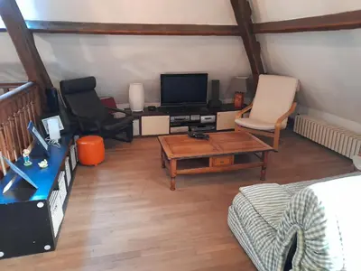 Télévision ou salle de divertissement dans l'établissement Le Plantard