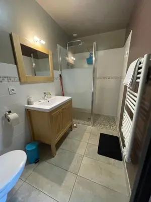 Salle de bains dans l'établissement Appartement Plein Pied Arrow Wood La Flèche