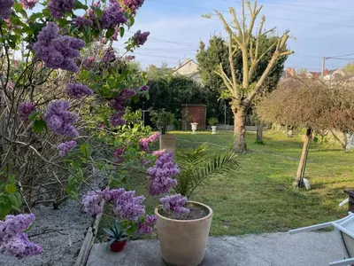 Jardin de l'établissement Maison Mimosa
