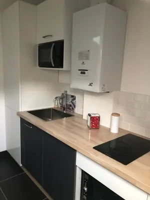 Cuisine ou kitchenette dans l'établissement Jardin des Plantes