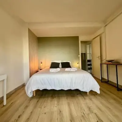 Loft avec parking centre Tours et bord du Cher Loire Valley