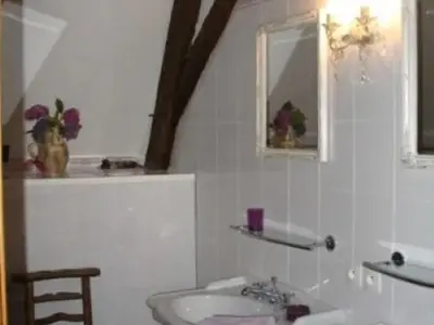 Salle de bains dans l'établissement Gîte historique avec piscine privée, proche de Chinon - FR-1-381-530