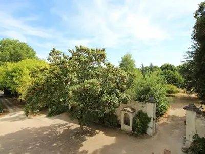 Jardin de l'établissement Gîte historique avec piscine privée, proche de Chinon - FR-1-381-530
