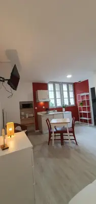 Télévision ou salle de divertissement dans l'établissement Studio centre de Bourgueil au calme