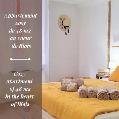 Le Petit Louis XII - Appartement centre Blois avec garage