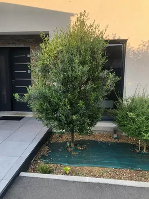 Jardin de l'établissement Chambre privée à 10 min du circuit