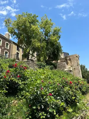 Jardin de l'établissement Appartement Vieux Mans