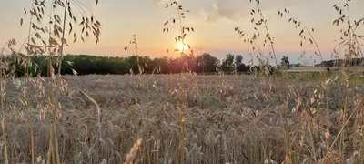 Lever ou coucher de soleil vu de le B&B/chambre d'hôtes ou à proximité
