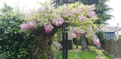 Jardin de l'établissement Chambre chez Jan-Nicolas et Sylvie