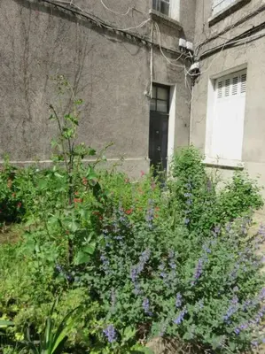 Jardin de l'établissement Studio (T1) quartier Cathédrale