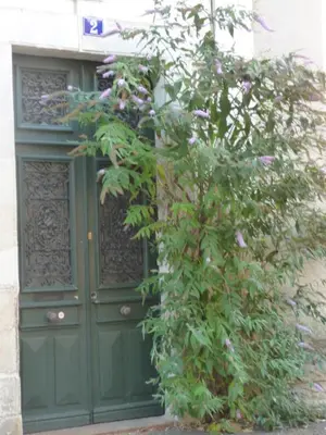 Plan de l'établissement 2 DESCARTES