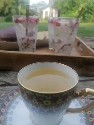 Boissons dans l'établissement La Robinière Maison d'Hôtes