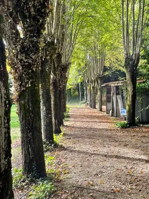 Jardin de l'établissement Château de la Huberdière