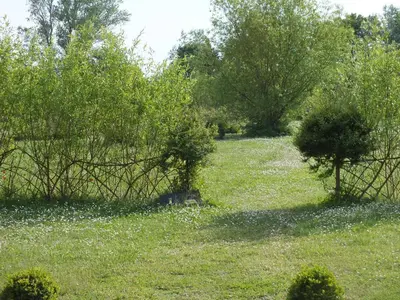 Jardin de l'établissement Château de Nazé Vivy-Saumur
