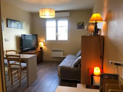 Télévision ou salle de divertissement dans l'établissement Appartement plein centre Le Mans