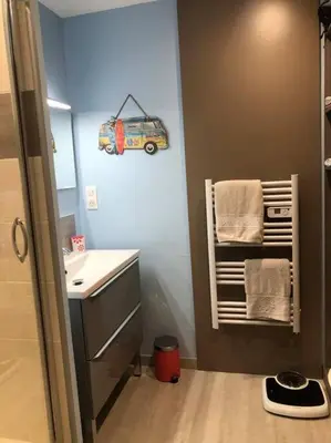 Salle de bains dans l'établissement Appartement plein centre Le Mans
