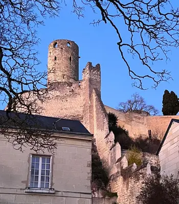 Plan de l'établissement Le gargantua, appartement à 500m du château