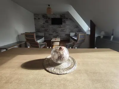 Télévision ou salle de divertissement dans l'établissement Superbe appartement - 5 mn du Zoo de Beauval (8p)