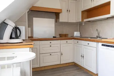 Cuisine ou kitchenette dans l'établissement Superbe appartement - 5 mn du Zoo de Beauval (8p)