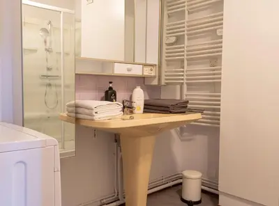 Salle de bains dans l'établissement Superbe appartement - 5 mn du Zoo de Beauval (8p)