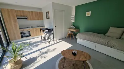 Cuisine ou kitchenette dans l'établissement Le Patio : studio avec extérieur