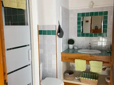 Salle de bains dans l'établissement Charmant logement avec piscine et table d'hôtes, proche de Solesmes et de l'abbaye. - FR-1-410-407