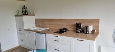 Cuisine ou kitchenette dans l'établissement Gite Les Courbes