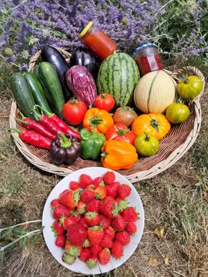 Nourriture dans la maison de vacances ou à proximité