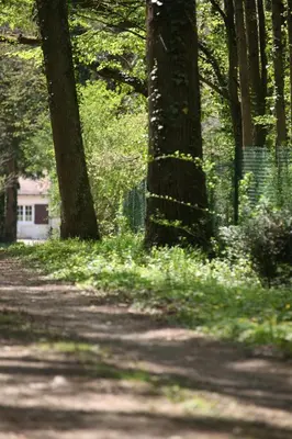 Jardin de l'établissement Fleurs de Brenne Gite