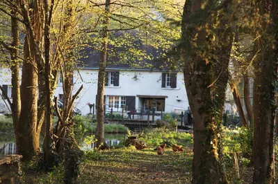 Jardin de l'établissement Fleurs de Brenne Gite