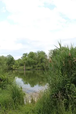 Paysage naturel près de la tente de luxe