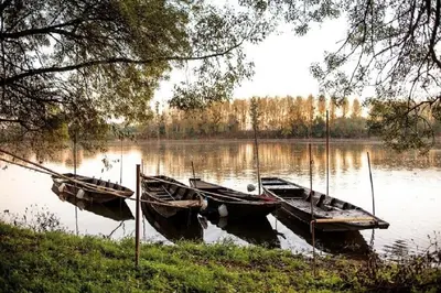 Vue sur la rivière ou le fleuve situé(e) à proximité de le B&B/chambre d'hôtes