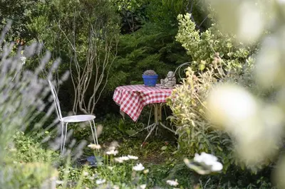 Jardin de l'établissement Le Jardin Yuccas - Cosy cottage in the Loir& Loire Valleys
