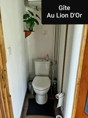 Salle de bains dans l'établissement Au Lion d'Or