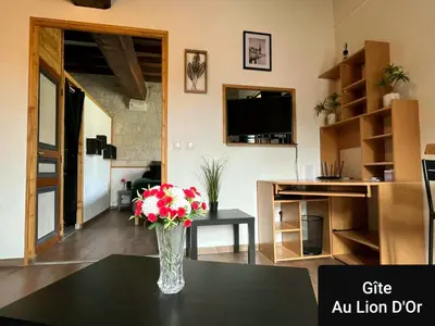 Télévision ou salle de divertissement dans l'établissement Au Lion d'Or