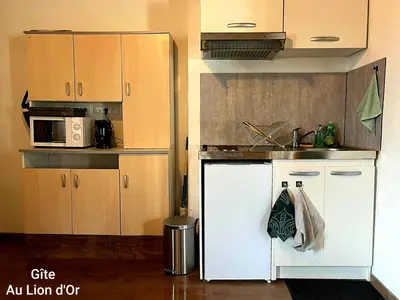 Cuisine ou kitchenette dans l'établissement Au Lion d'Or