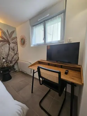 Télévision ou salle de divertissement dans l'établissement Maison Brizon collection Pepeaz