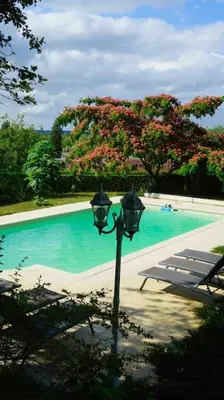 Piscine de l'établissement Demeure vue sur Cher/Château, 5 min Zoo de Beauval ou située à proximité