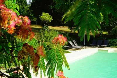 Piscine de l'établissement Demeure vue sur Cher/Château, 5 min Zoo de Beauval ou située à proximité