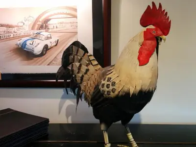 Animaux dans le B&B/chambre d'hôtes ou à proximité