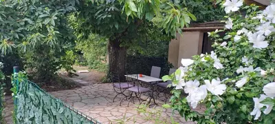 Jardin de l'établissement TourTour in the Loire Valley poolside Chalet