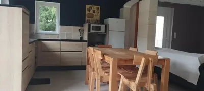 Cuisine ou kitchenette dans l'établissement La petite ligérienne