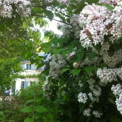 La Butte de Gohier